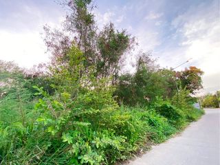 ขาย ที่ดิน ใน บ้านฉาง, ระยอง
