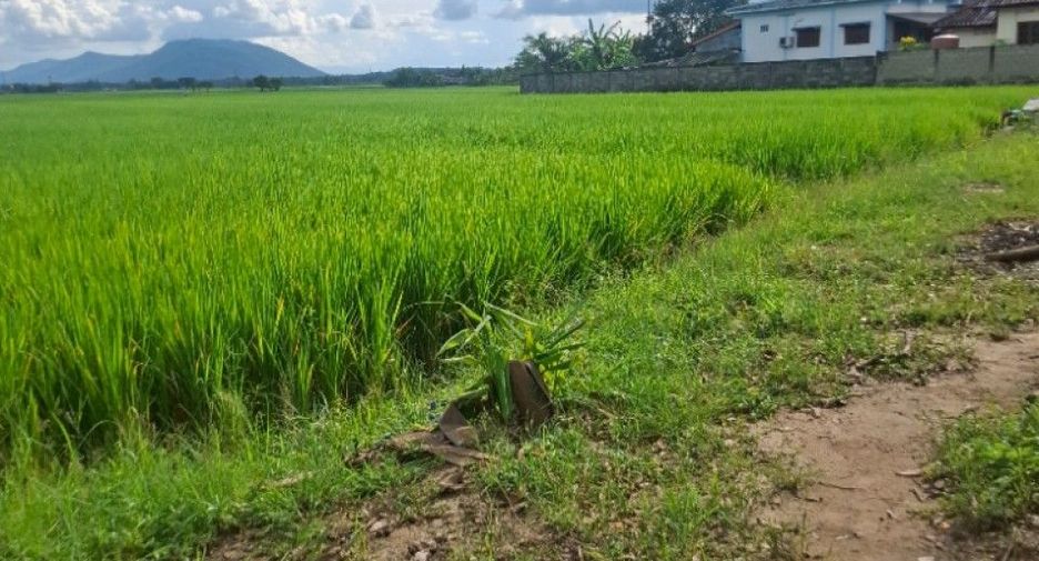 ขาย สตูดิโอ บ้านเดี่ยว ใน เวียงชัย, เชียงราย