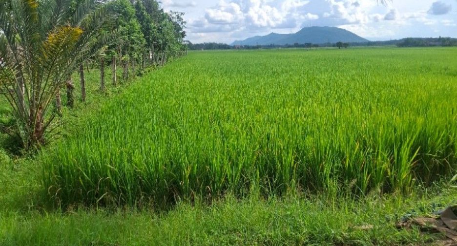 ขาย สตูดิโอ บ้านเดี่ยว ใน เวียงชัย, เชียงราย