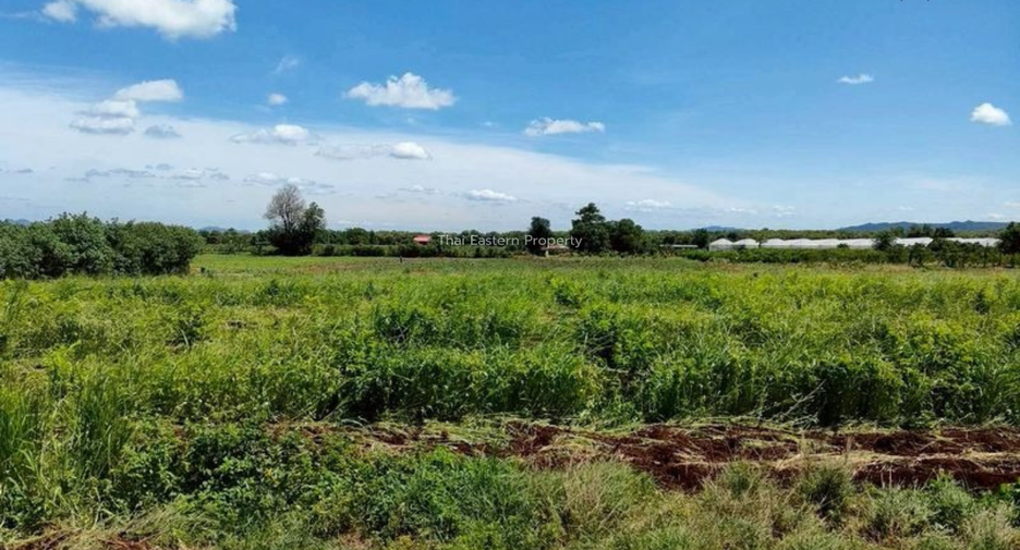 出售 土地 在 Pak Chong, Nakhon Ratchasima