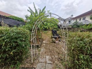 ขาย ที่ดิน ใน ลำลูกกา, ปทุมธานี