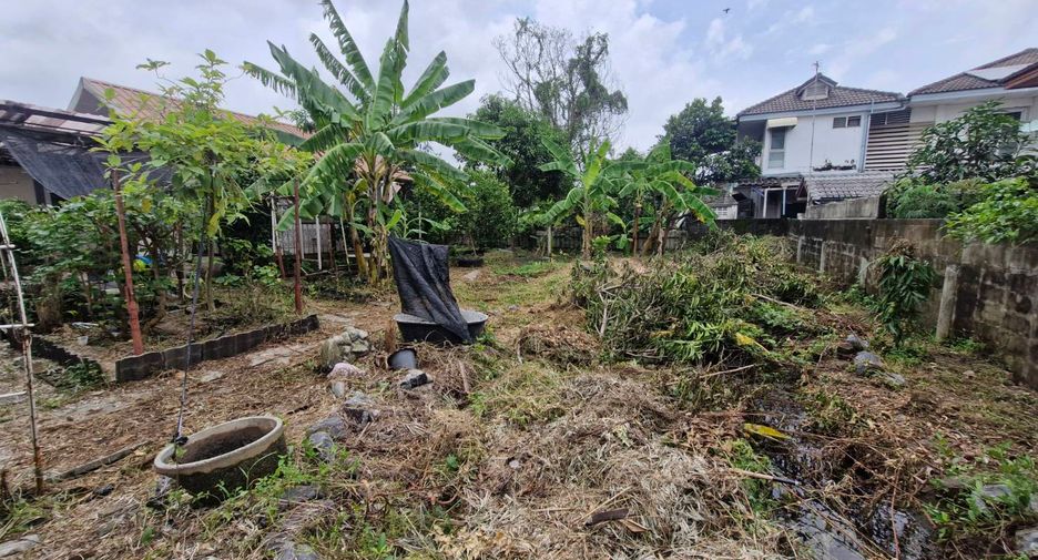 ขาย ที่ดิน ใน ลำลูกกา, ปทุมธานี