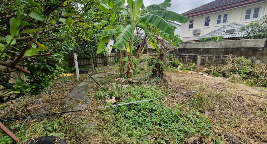 ขาย ที่ดิน ใน ลำลูกกา, ปทุมธานี