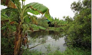 Продажа Участок в Phanat Nikhom, Чонбури