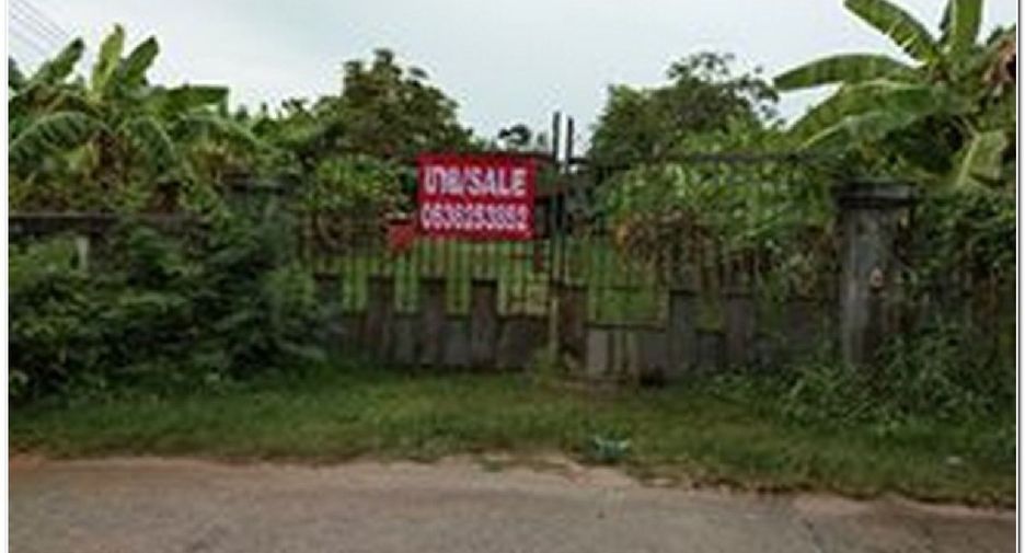 For sale land in Phanat Nikhom, Chonburi