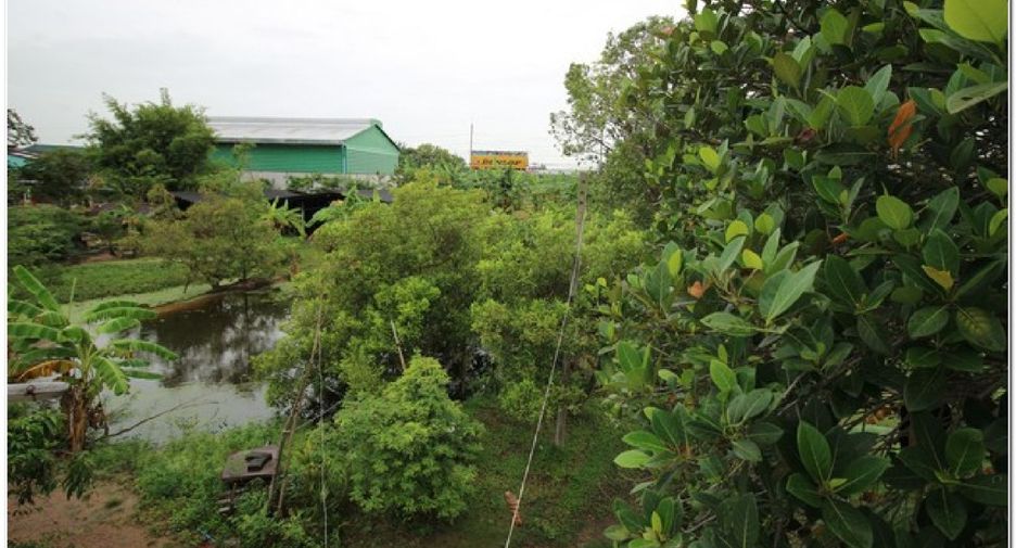 For sale land in Phanat Nikhom, Chonburi