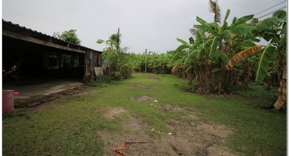 For sale land in Phanat Nikhom, Chonburi