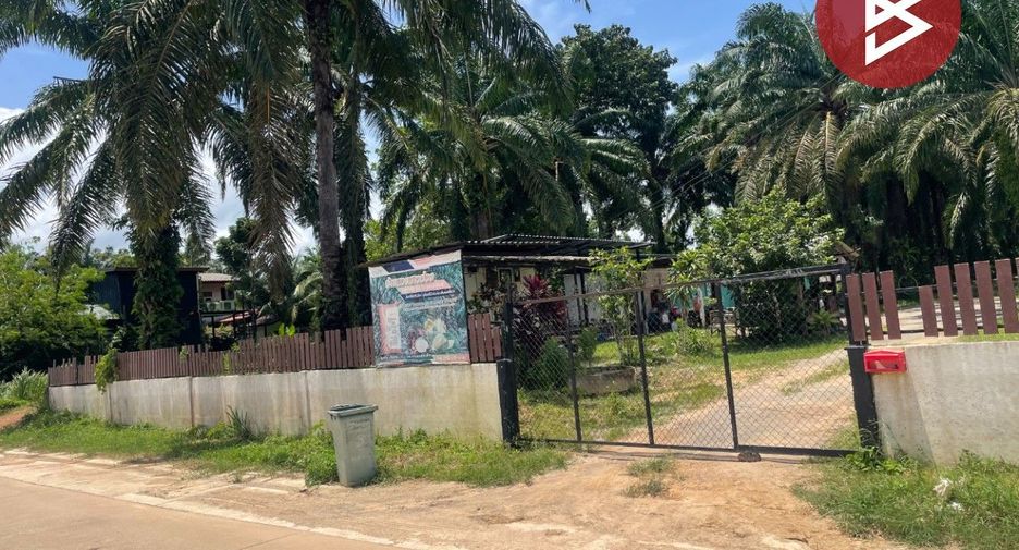 For sale land in Tha Sae, Chumphon