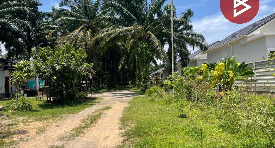 For sale land in Tha Sae, Chumphon