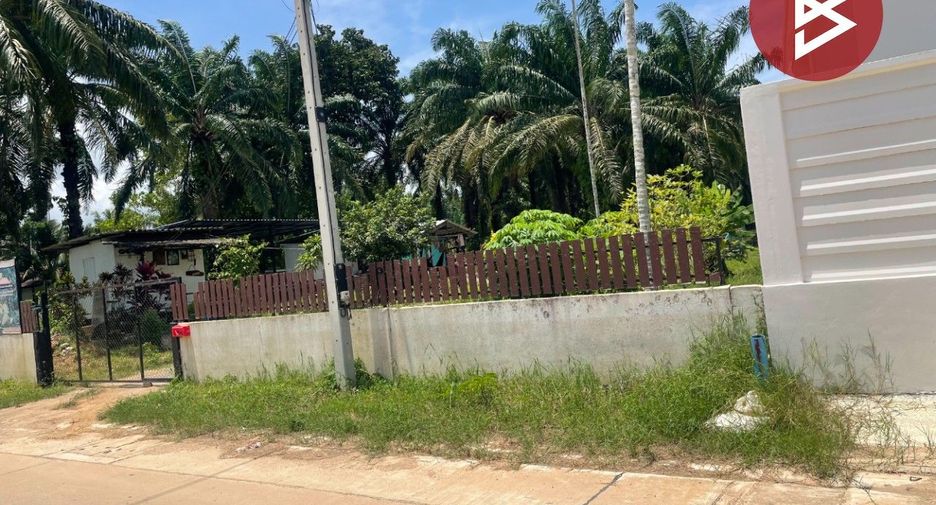 For sale land in Tha Sae, Chumphon