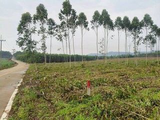 ขาย ที่ดิน ใน หนองใหญ่, ชลบุรี