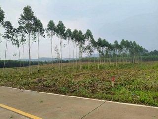 ขาย ที่ดิน ใน หนองใหญ่, ชลบุรี
