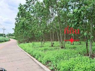 ขาย ที่ดิน ใน หนองใหญ่, ชลบุรี