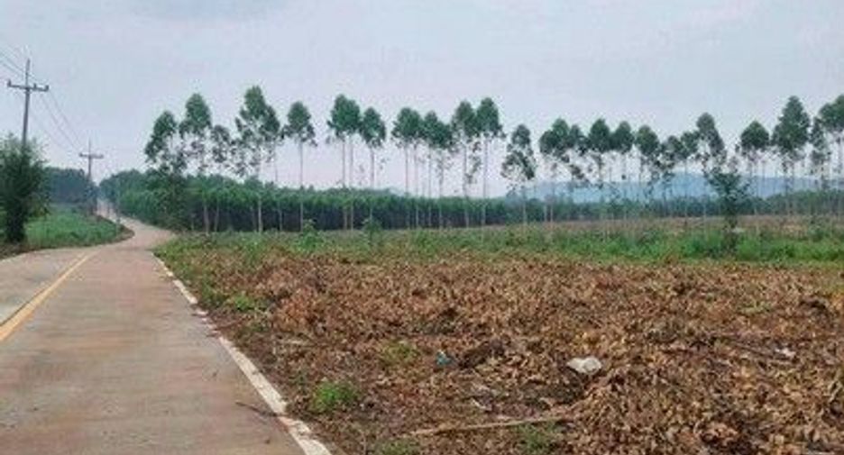 For sale land in Nong Yai, Chonburi