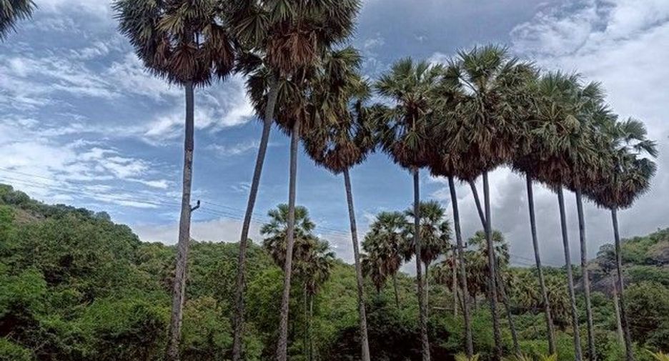 For sale land in Pran Buri, Prachuap Khiri Khan