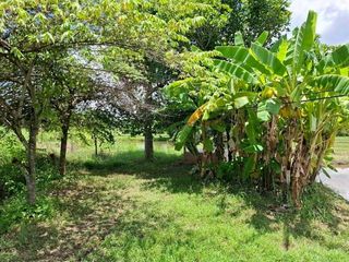 For sale land in Mueang Nong Khai, Nong Khai
