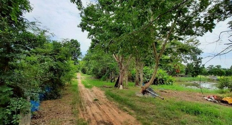 For sale land in Waeng Yai, Khon Kaen