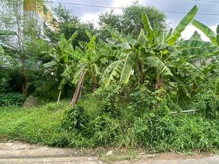 For sale land in Khan Na Yao, Bangkok