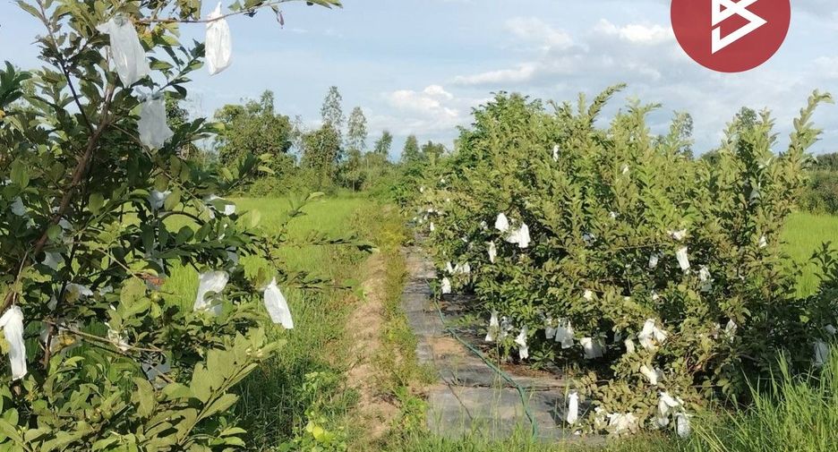 For sale land in Bang Krathum, Phitsanulok