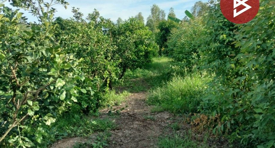 For sale land in Bang Krathum, Phitsanulok