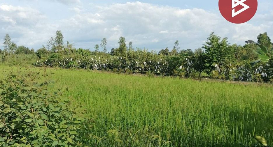For sale land in Bang Krathum, Phitsanulok