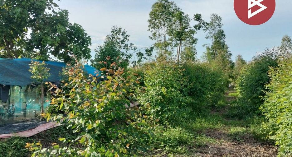 For sale land in Bang Krathum, Phitsanulok
