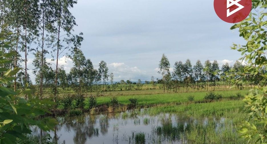 For sale land in Bang Krathum, Phitsanulok