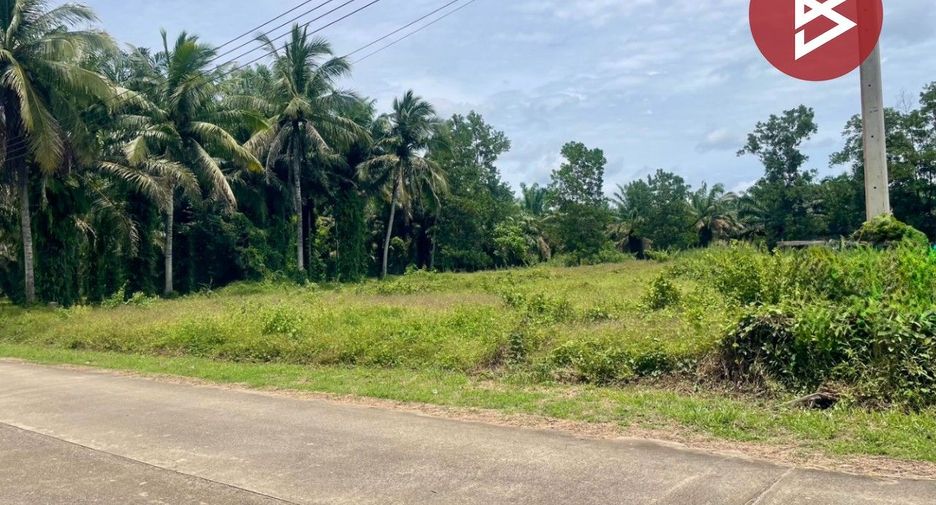 出售 土地 在 Tha Sae, Chumphon