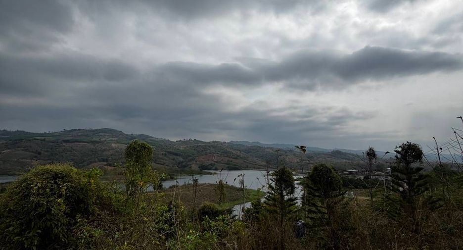 出售 土地 在 Dan Sai, Loei