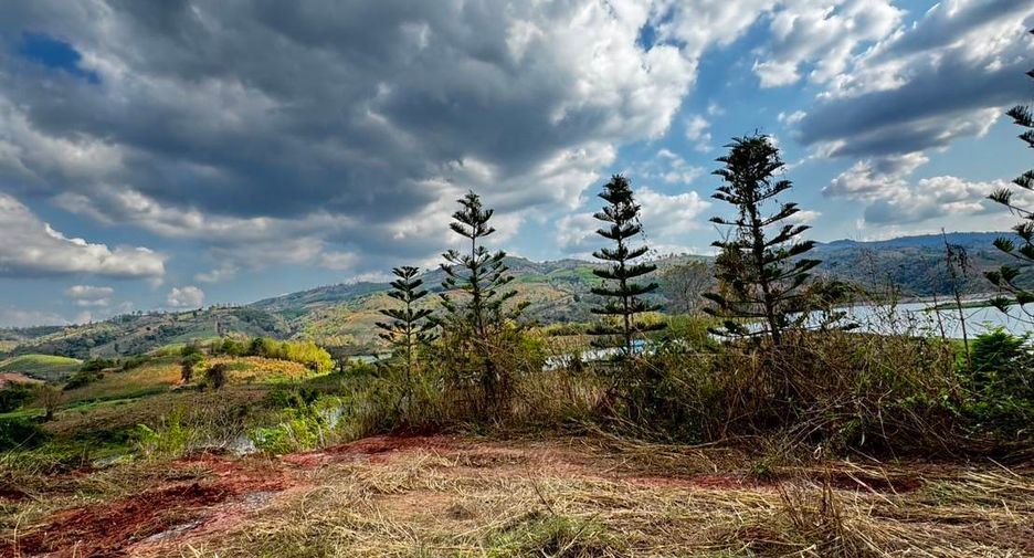 出售 土地 在 Dan Sai, Loei