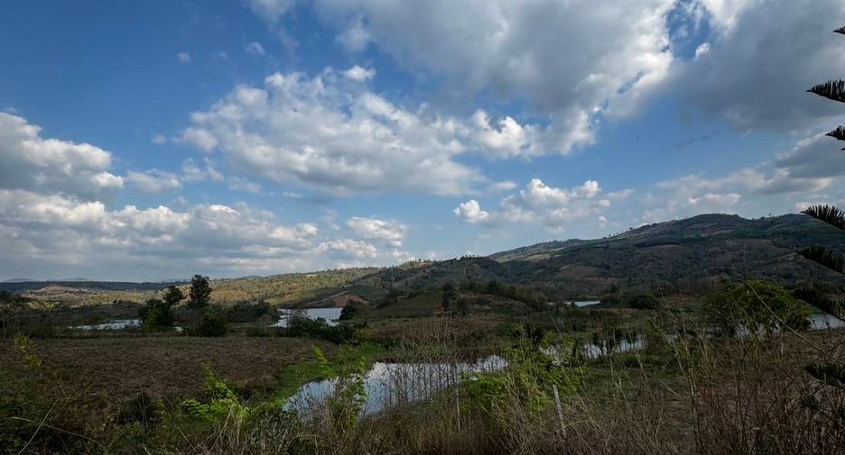 出售 土地 在 Dan Sai, Loei