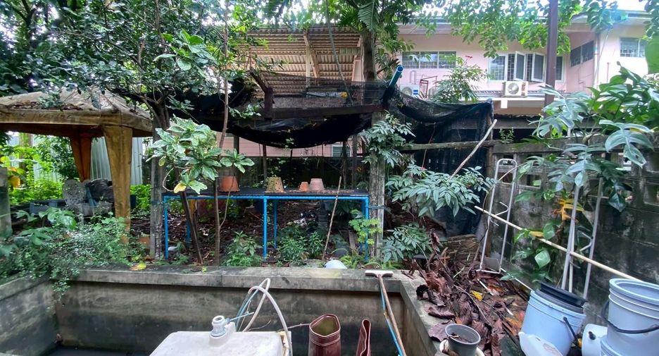 ขาย ที่ดิน ใน เมืองนนทบุรี, นนทบุรี
