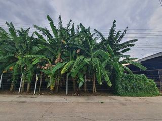 出售 土地 在 Bang Khae, 曼谷