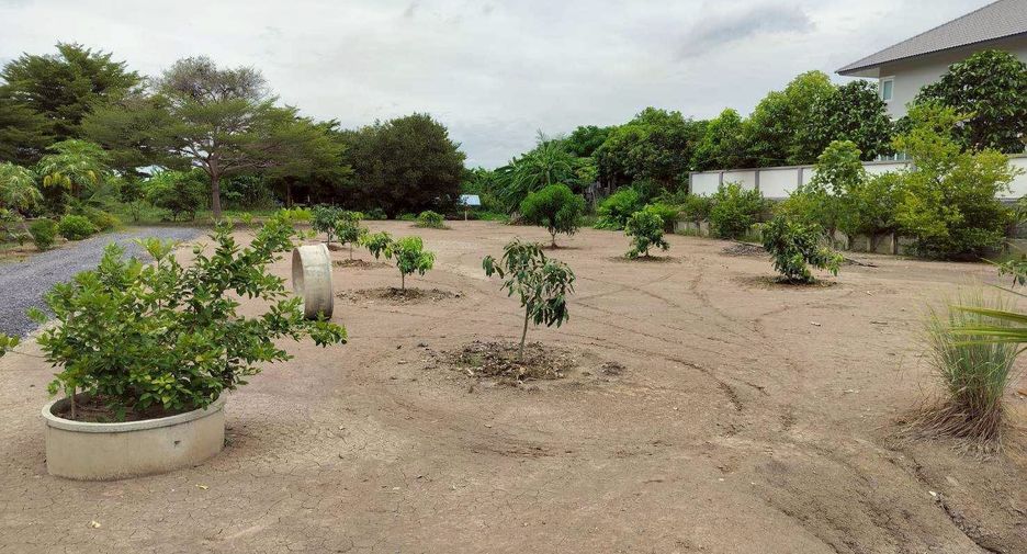 Terreno en alquiler en Sam Khok, Pathum Thani