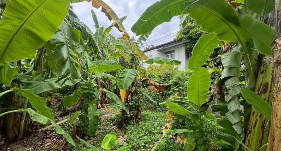 Продажа Участок в Bang Kruai, Нонтабури