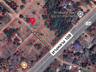 For sale land in Doi Lo, Chiang Mai