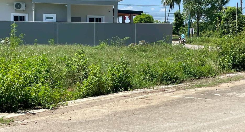 For sale land in Mueang Trang, Trang