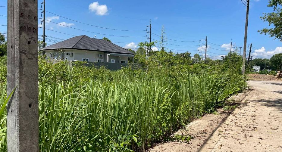 For sale land in Mueang Trang, Trang