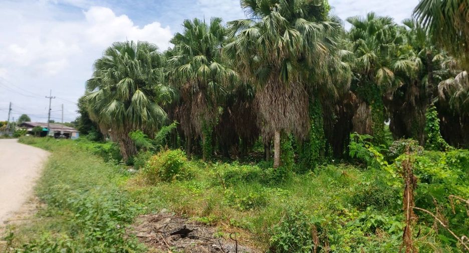 For sale land in Ban Pong, Ratchaburi