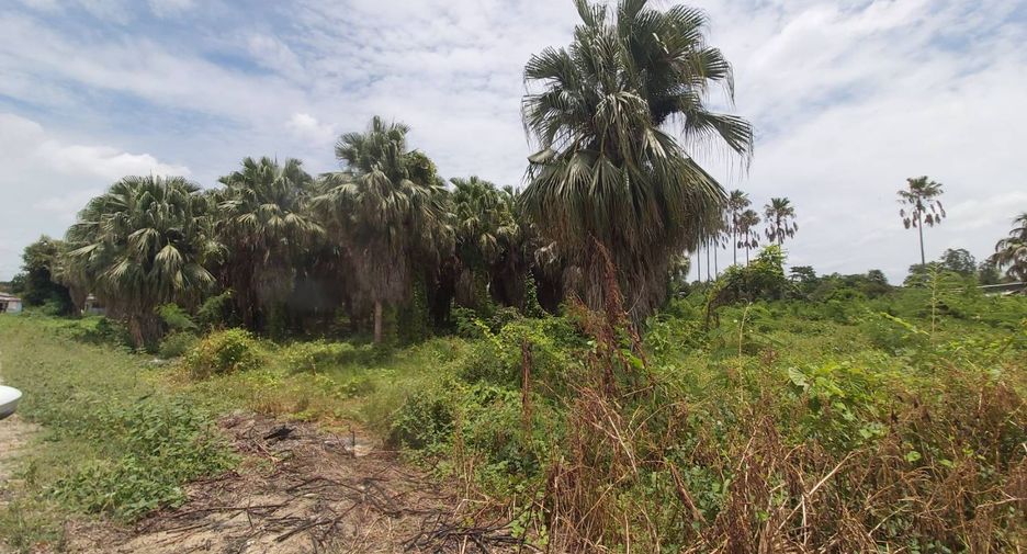 For sale land in Ban Pong, Ratchaburi