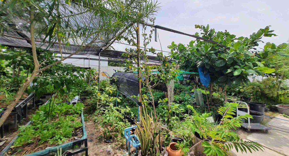 For sale retail Space in Hua Hin, Prachuap Khiri Khan
