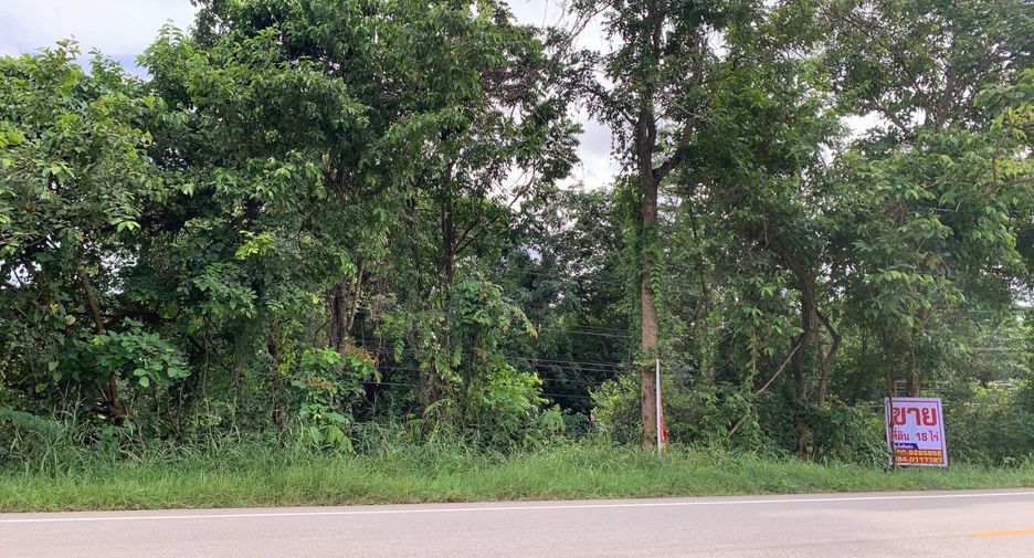 For sale land in Doi Tao, Chiang Mai