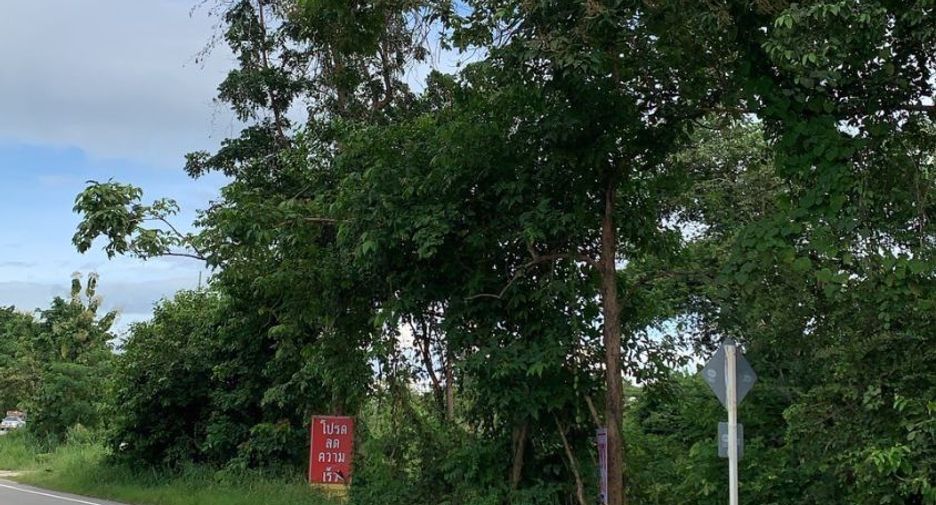 For sale land in Doi Tao, Chiang Mai