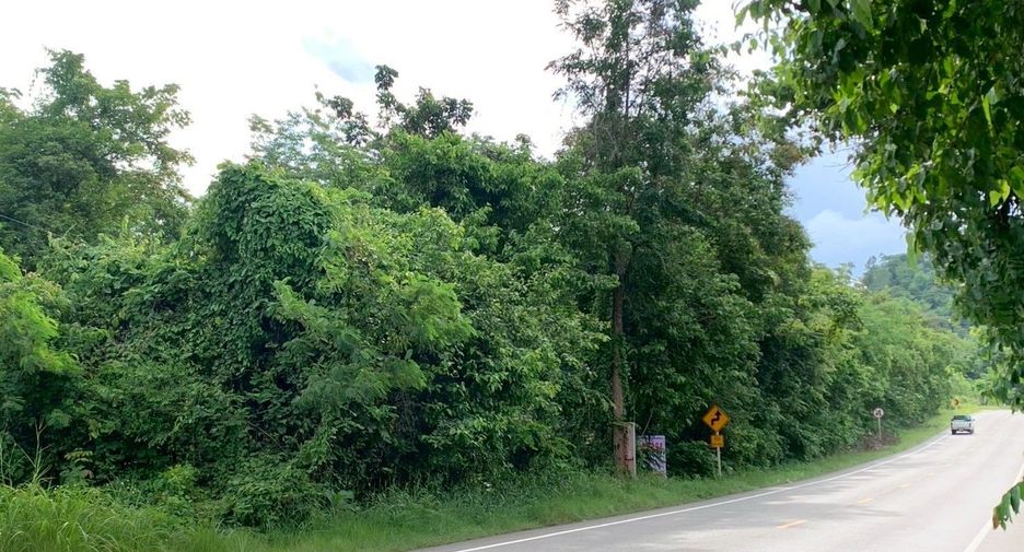 For sale land in Doi Tao, Chiang Mai