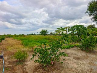 Продажа Участок в Mueang Suphanburi, Супанбури