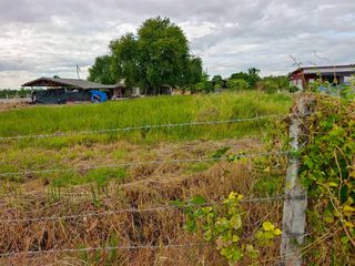 Продажа Участок в Mueang Suphanburi, Супанбури