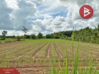 For sale land in Mueang Udon Thani, Udon Thani