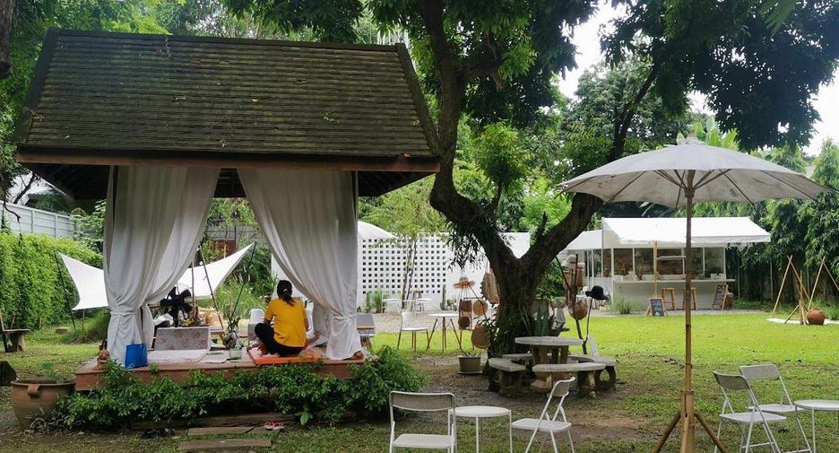 Casa en venta de 9 habitaciones en Mae Rim, Chiang Mai