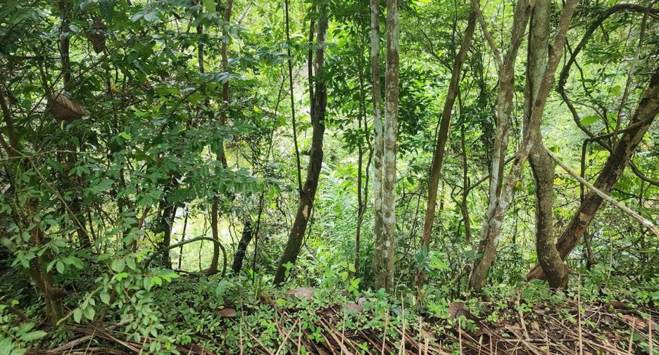 For sale land in Mueang Chumphon, Chumphon