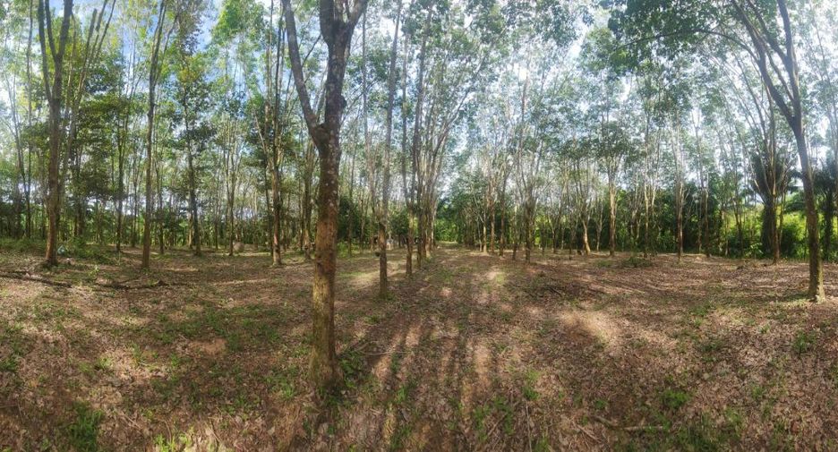 For sale land in Mueang Chumphon, Chumphon